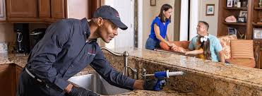 Best Residential Pest Control  in Crafton, PA